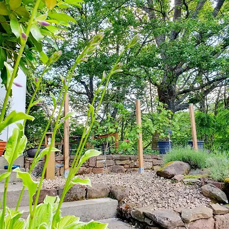 아파트 Ferienwohnung Lug