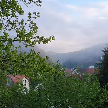 公寓 Ferienwohnung Lug Lug