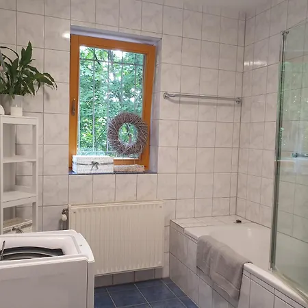 公寓 Ferienwohnung Lug *