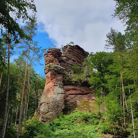 Ferienwohnung Lug 公寓 *